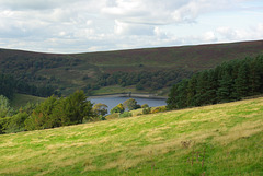 IMGP1294