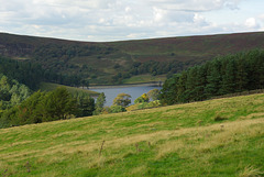 IMGP1295