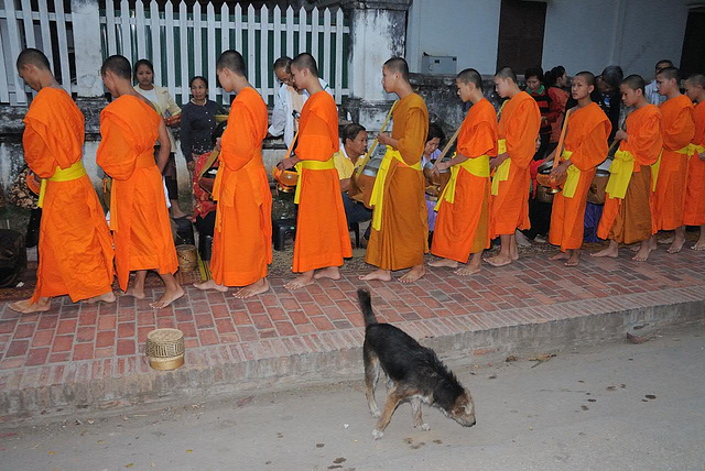 Bin tha bath, the food donation to the monks