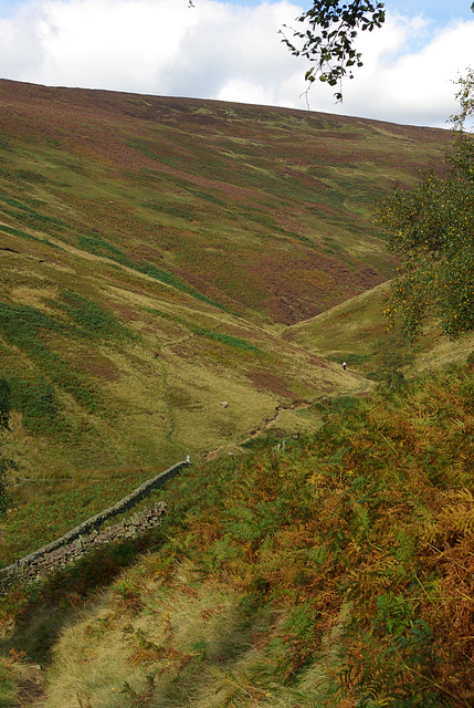 IMGP1343