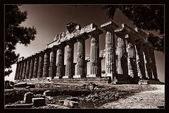 Temple of Hera - Selinunte