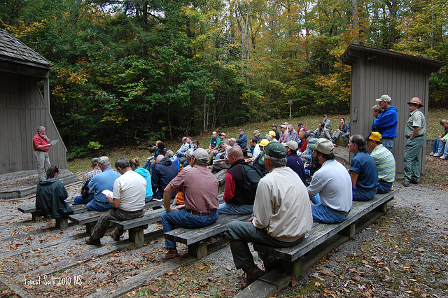 Daniel Boone National Forest