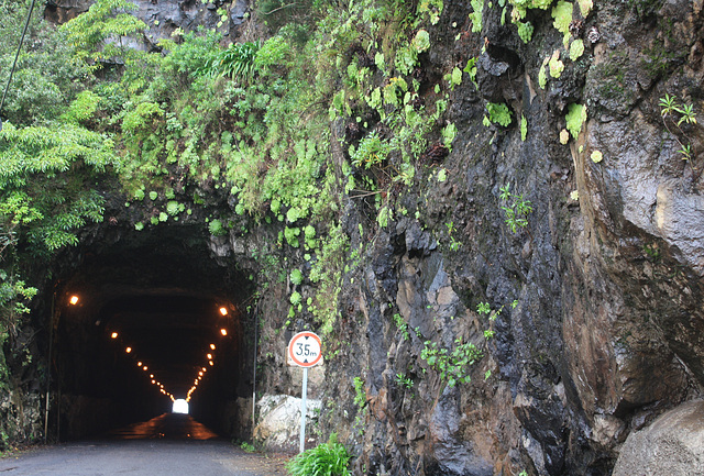 Tunnel