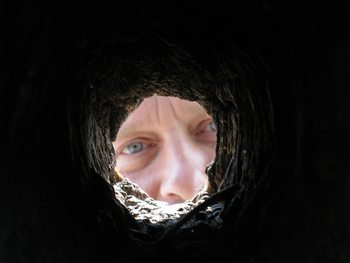 Self In Woodpecker Hole (1569)