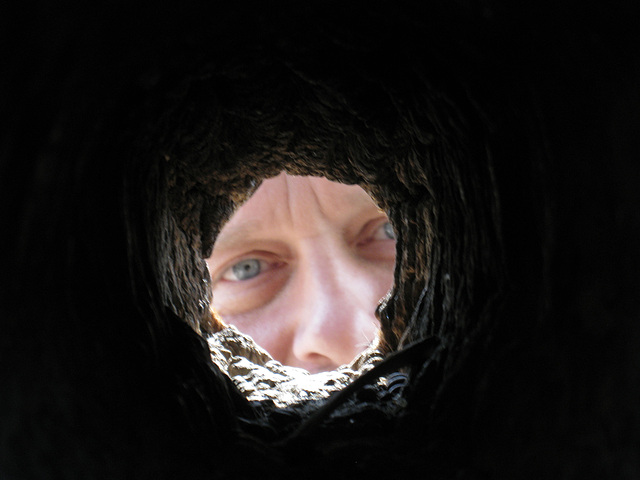 Self In Woodpecker Hole (1569)