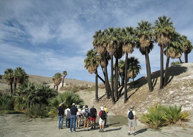 Wilhelm's Metate Ranch (1561)