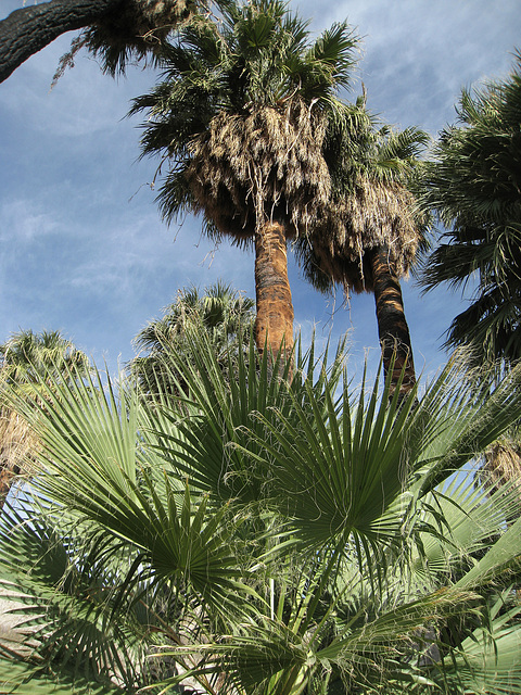 Wilhelm's Metate Ranch (1579)