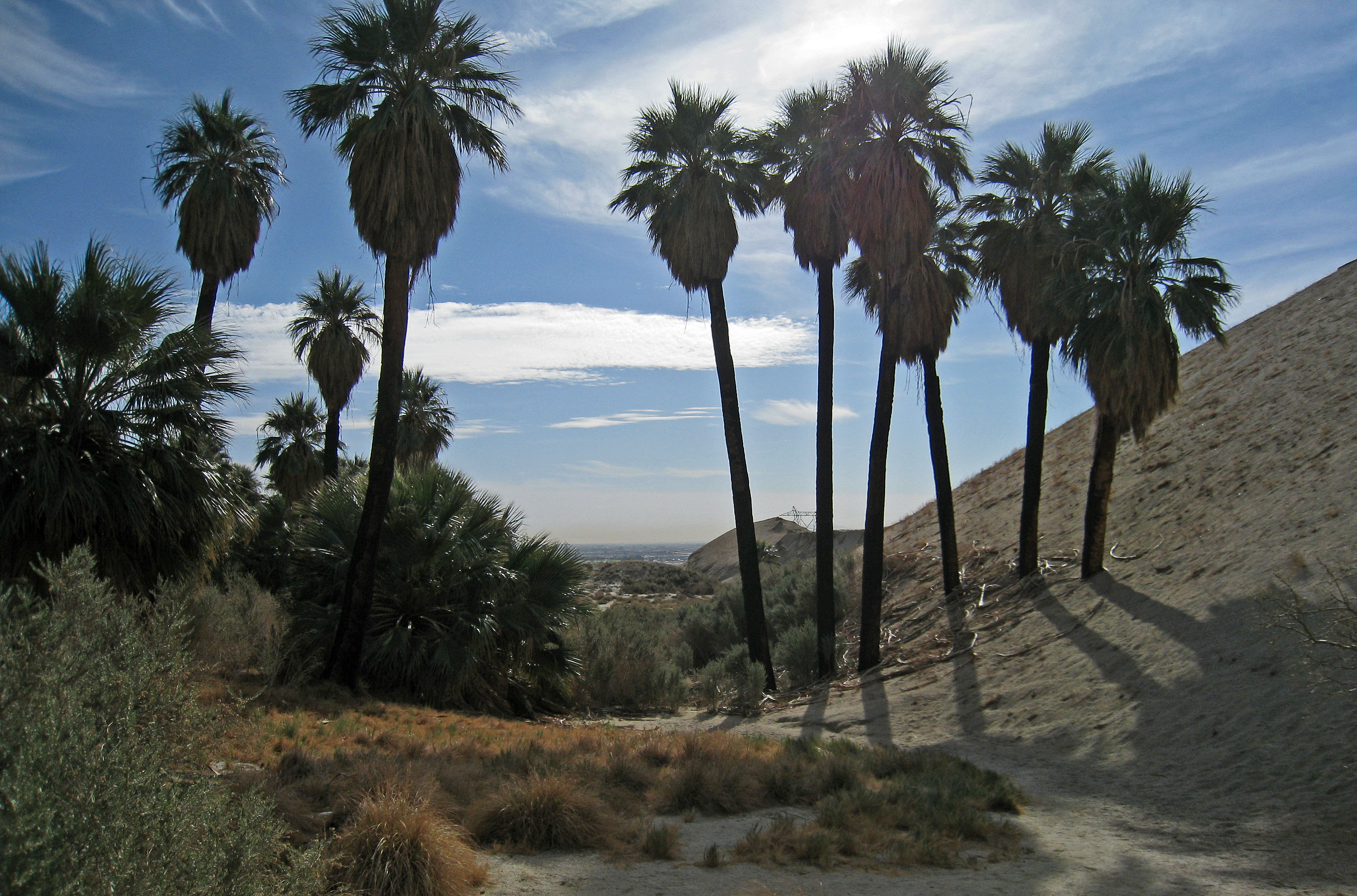 Wilhelm's Metate Ranch (1581)