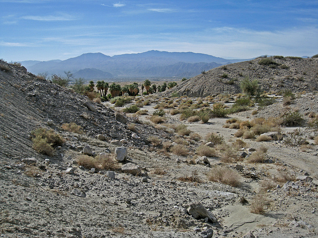 Wilhelm's Metate Ranch (1585)