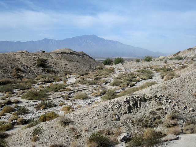 Wilhelm's Metate Ranch (1586)