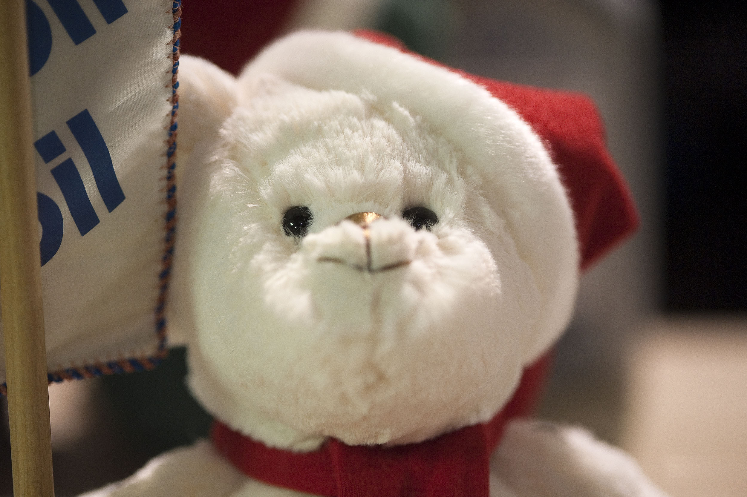 Am I the only one without a Christmas cap?