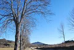 plateau de Sault