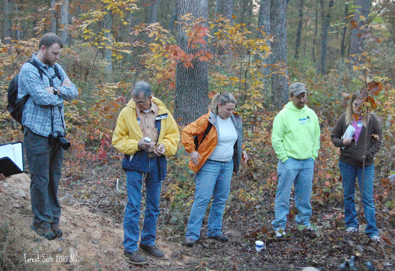 Daniel Boone National Forest