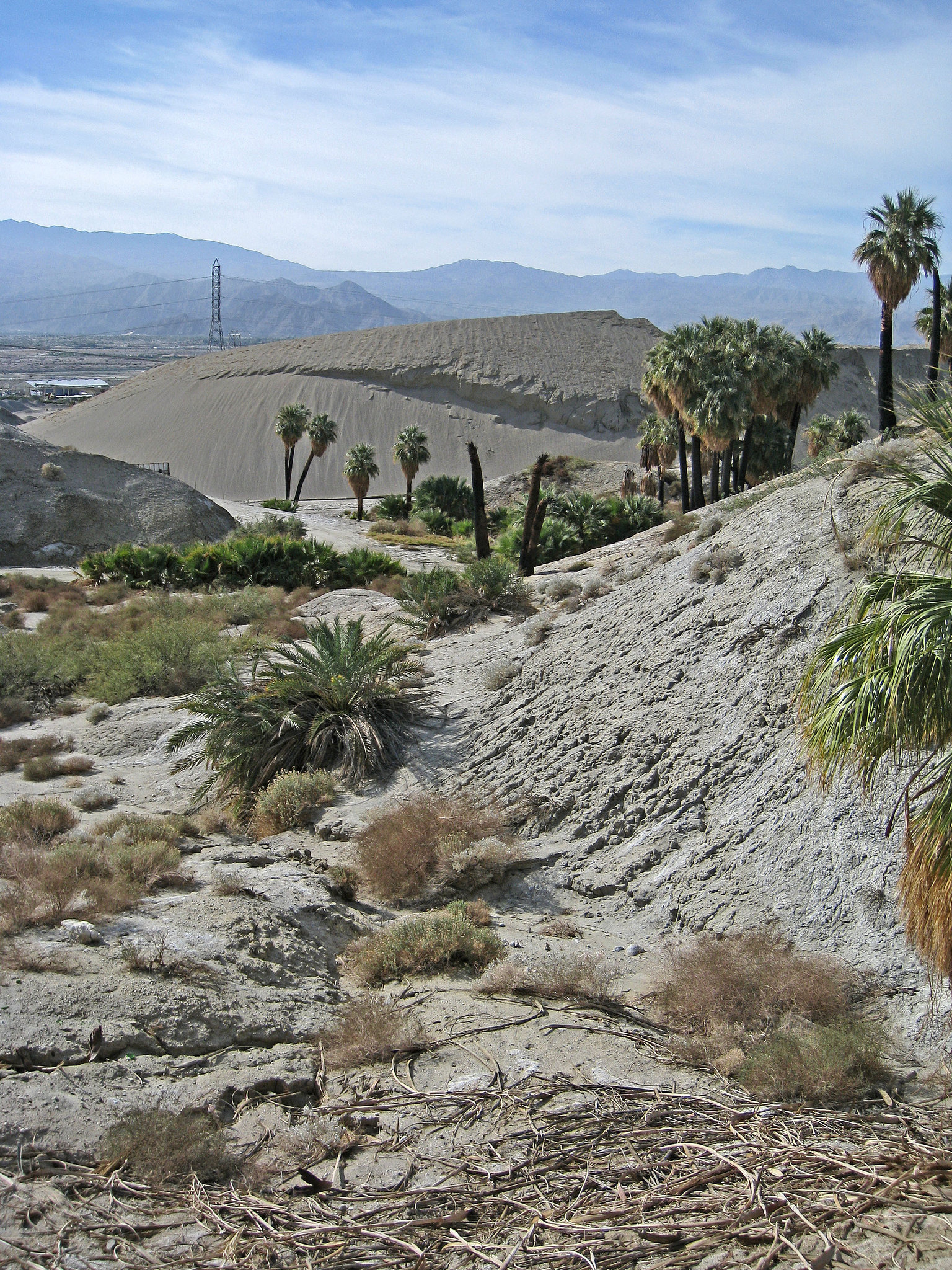 Wilhelm's Metate Ranch (1601)