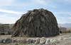 Wilhelm's Metate Ranch Sweat Lodge (1629)