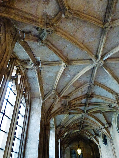 cloisters, christ church cathedral, oxford