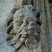 cloisters, christ church cathedral, oxford