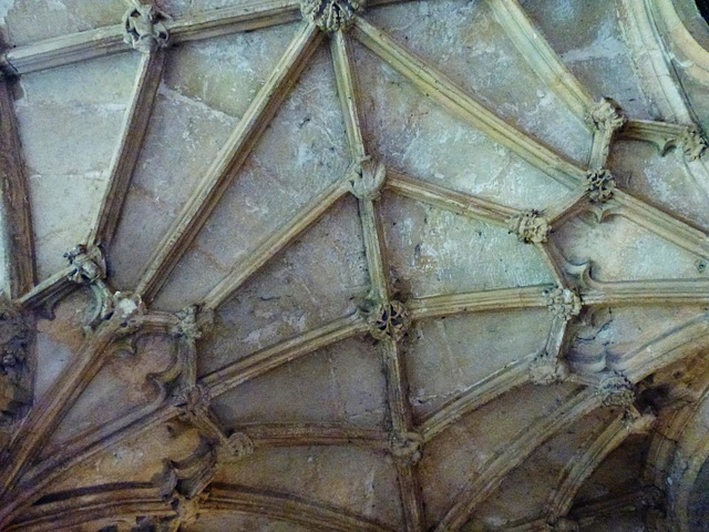 cloisters, christ church cathedral, oxford