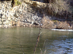 Río Ulzama por Sorauren (Navarra).