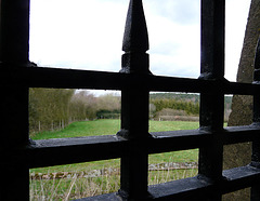 5. Sugar Loaf Looking Out