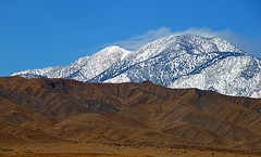 Mt. San Gorgonio With Snow (2353)