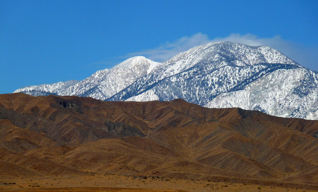 Mt. San Gorgonio With Snow (2353)