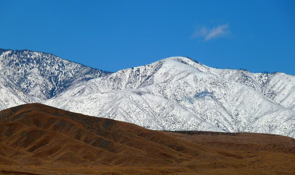 Mt. San Gorgonio With Snow (2358)