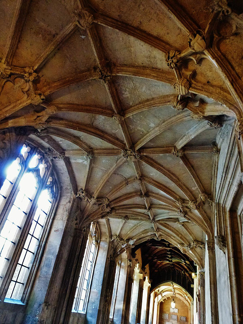 cloisters, christ church cathedral, oxford