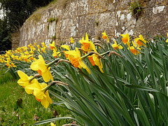 8. Brightling Church Outside Wall