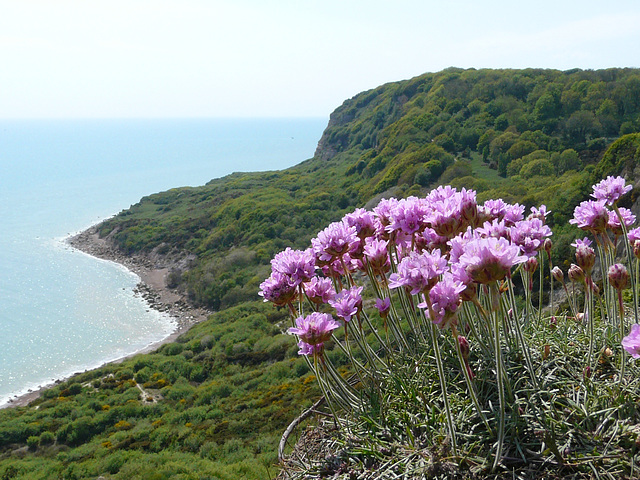 Hastings Country Park