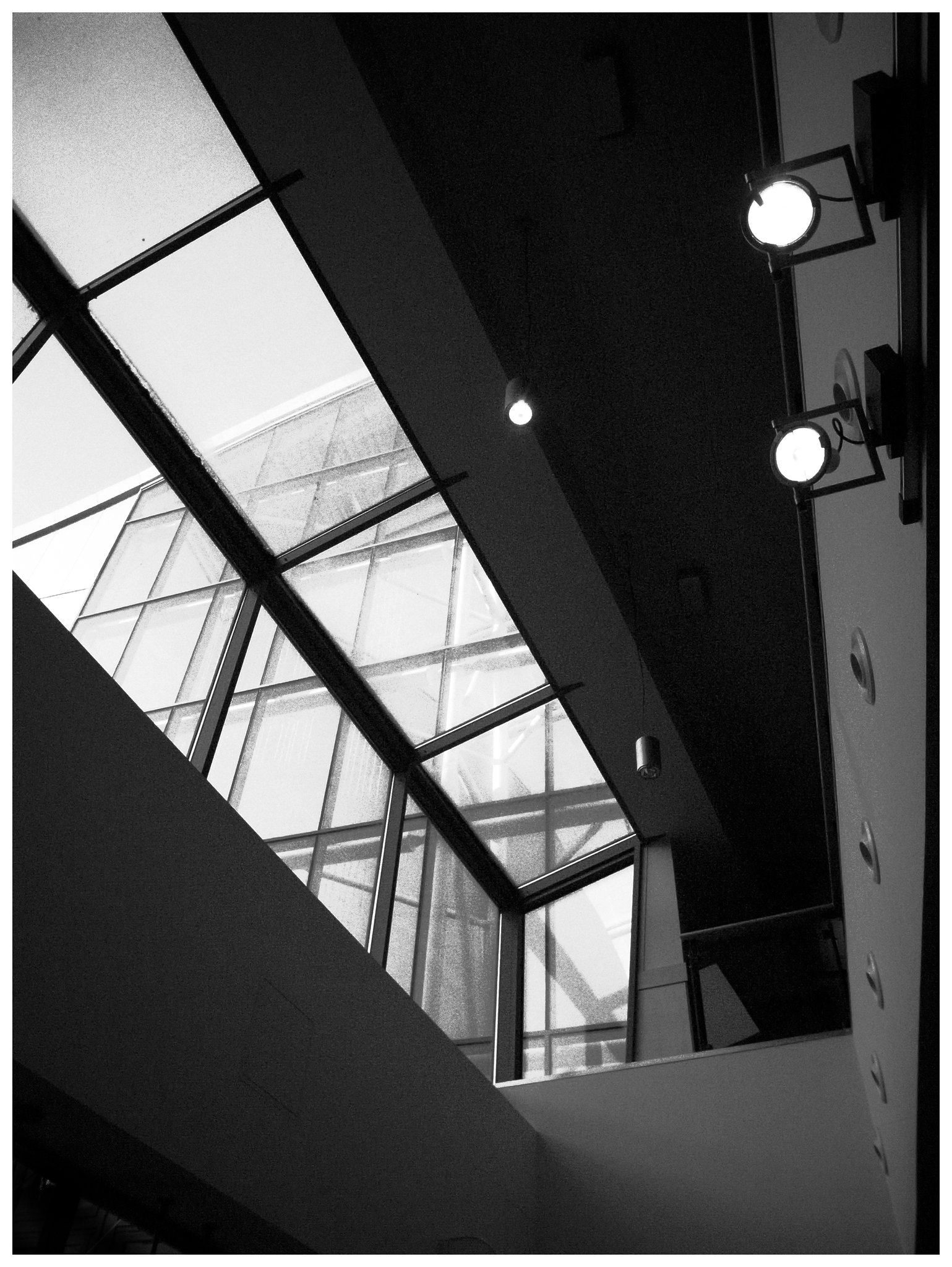 Jan 2 - Looking Up