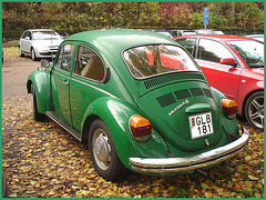 Volkswagen beetle in Sweden