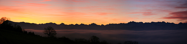 Swiss Alpin Skyline