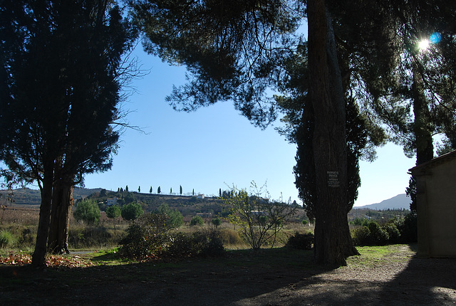 depuis notre Dame de Marceille