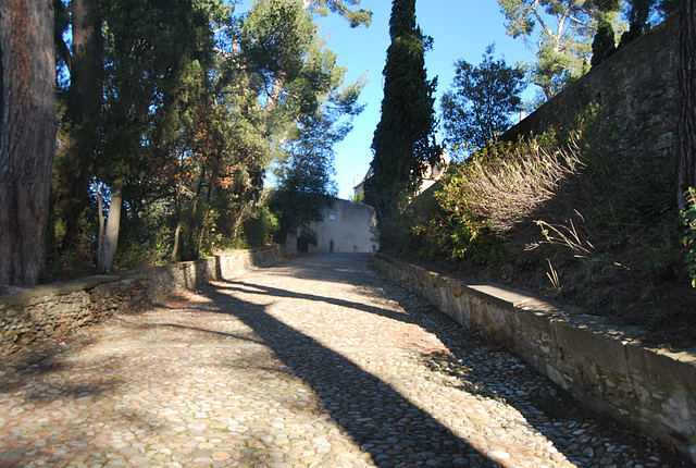 Notre Dame de Marceille