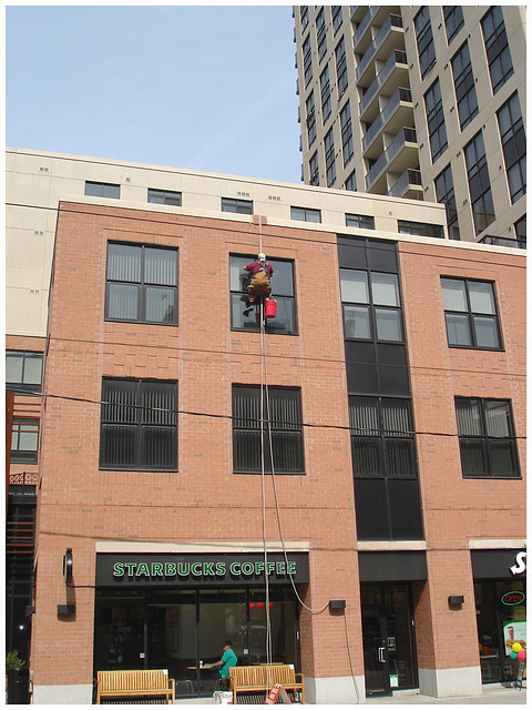 Nettoyeur de vitres - Starbucks coffee window cleaner- Toronto / 3 juillet 2007.