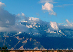 Mt. San Jacinto With Snow (2339)