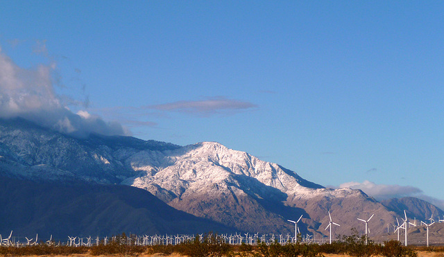 Mt. San Jacinto With Snow (2343)