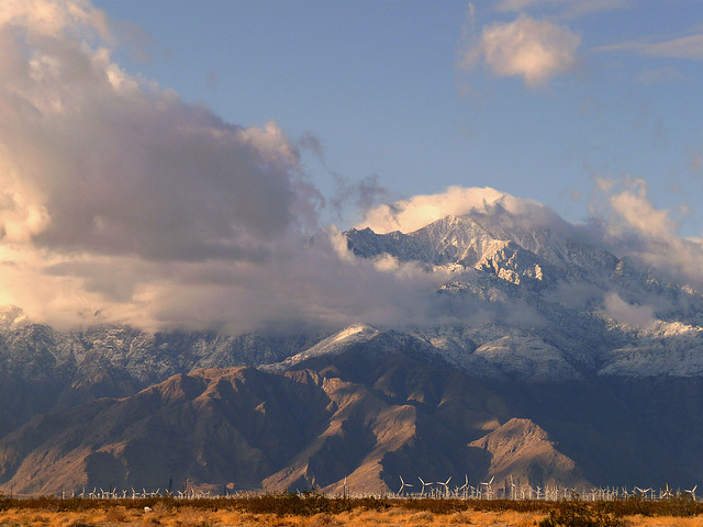 Mt. San Jacinto With Snow (2345)