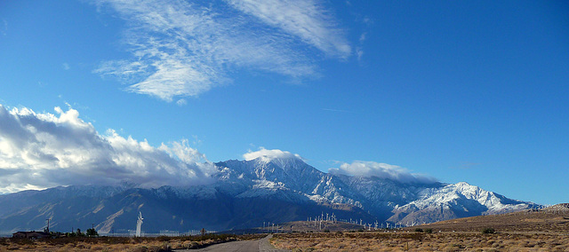 Mt. San Jacinto With Snow (2373)