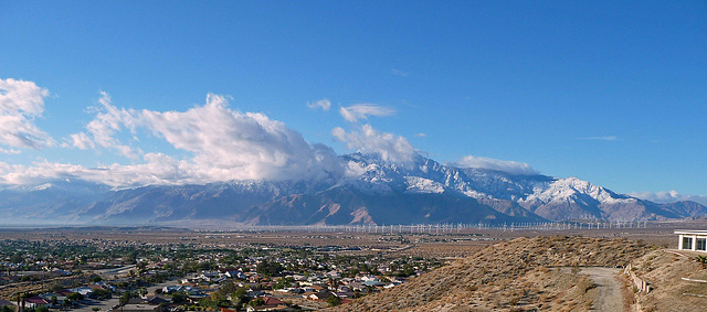 Mt. San Jacinto With Snow (2380)