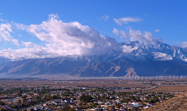 Mt. San Jacinto With Snow (2383)