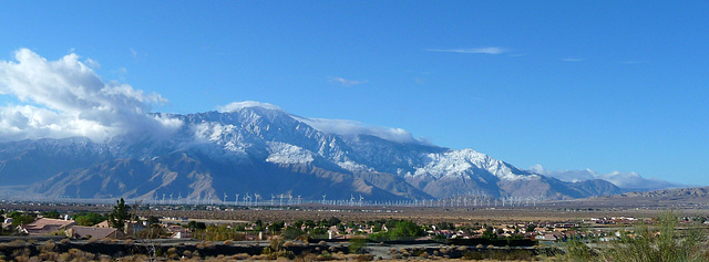 Mt. San Jacinto With Snow (2386)