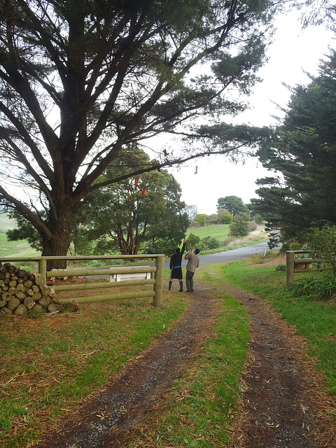 gumboot throwing in the name of art