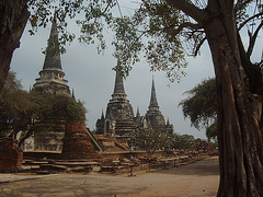 Ayutthaya - die alte Königsstadt