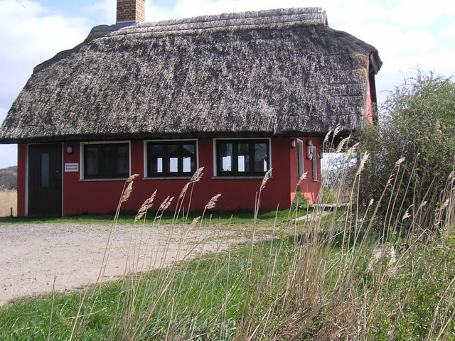 Bei Neuenkirchen auf Rügen