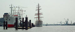 Sea Cloud II