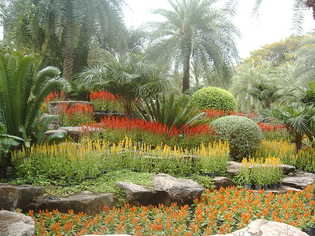 Tropical Garden (3)