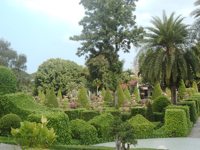 Tropical Garden (6)