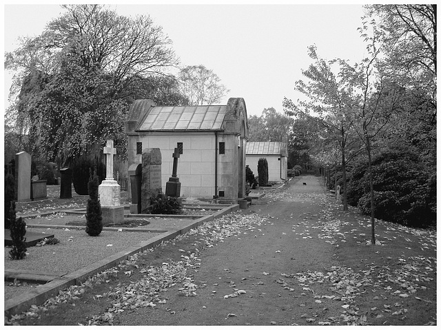 Cimetière de Helsingborg - Helsingborg cemetery -  Suède / Sweden - Up the hill - En haut de la colline - 22 octobre 2008 /  Noir & blanc.